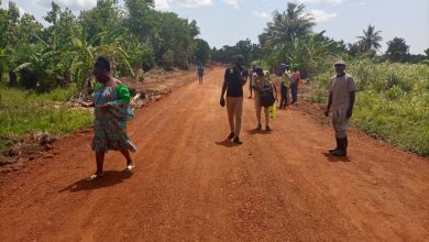 Au Togo, la construction des pistes rurales s'accélère dans le but de développer les communautés.