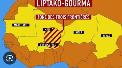 Les armées du Niger, du Mali, du Burkina Faso, du Tchad et du Togo ont entamé le 20 mai dernier dans l’Ouest du Niger un exercice militaire d’envergure