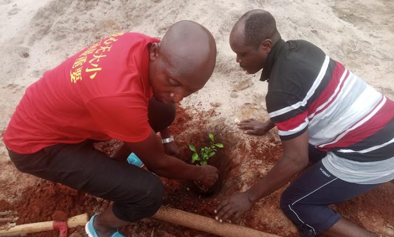 La journée nationale de l’arbre a été observée samedi dernier, marquant ainsi le début de la campagne nationale de reboisement. Les fils et filles de Gati Agodou dans la préfecture de Zio (50 km au Nord-Est de Lomé) ne sont pas restés en marge de l’évènement